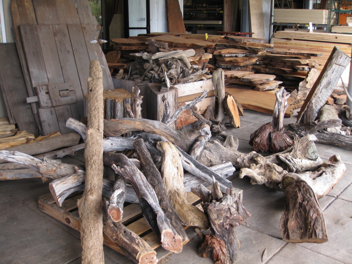photo of driftwood