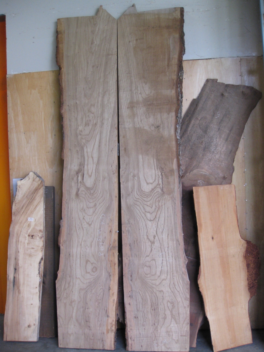 Photo of elm slabs