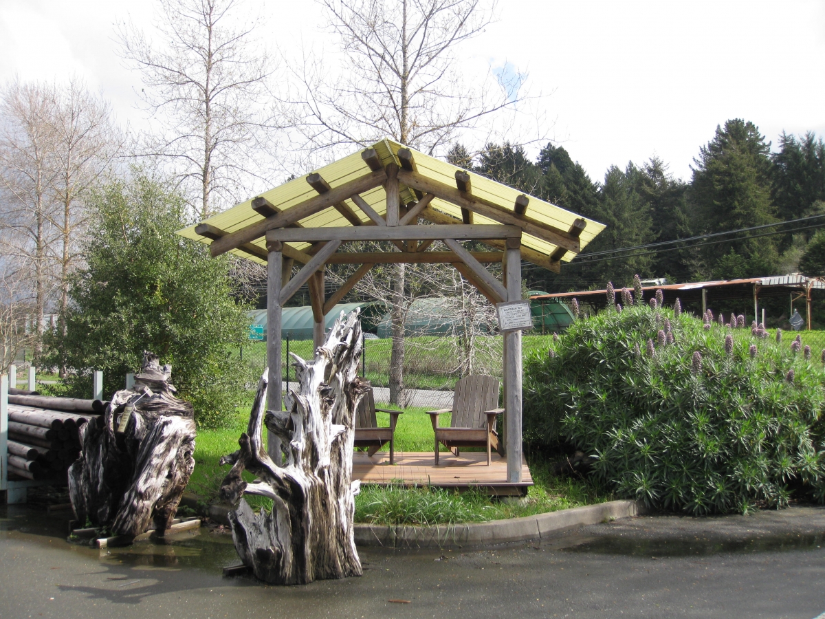 photo of gazebo