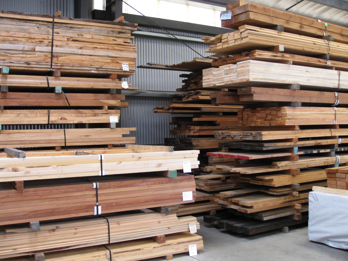 photo of softwood